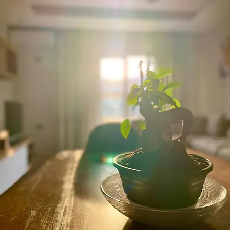 Apartment Sea Breeze Vlore