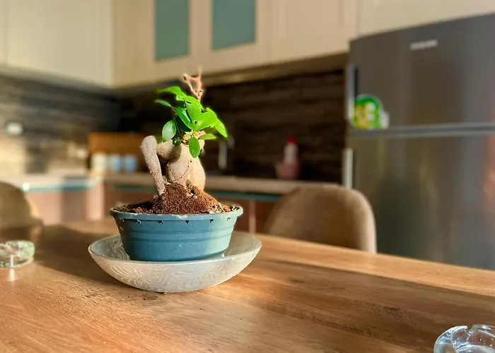 Sea Breeze Appartamento